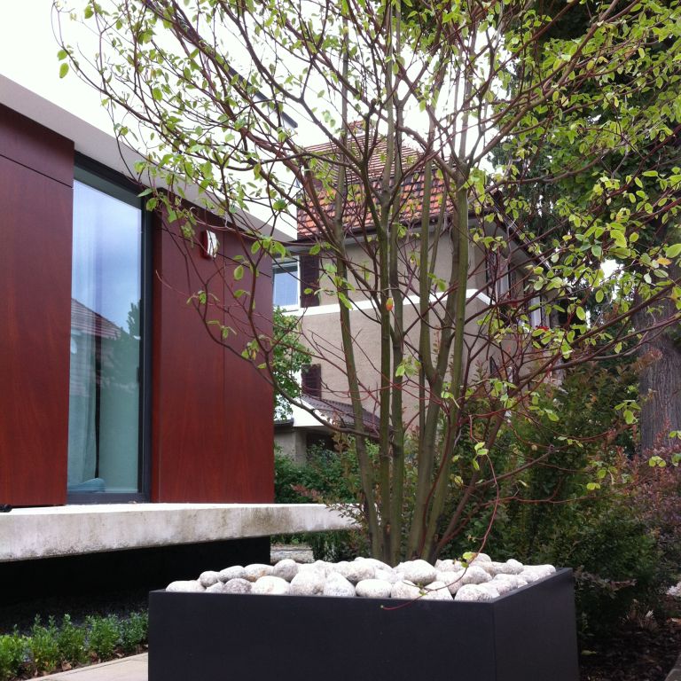 Ogród przy minimalistycznym budynku jednorodzinnym - foto nr 1